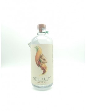 SEEDLIP GROVE 42 0° 70CL...