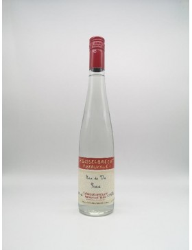 FRAISE GISSELBRECHT 43°...